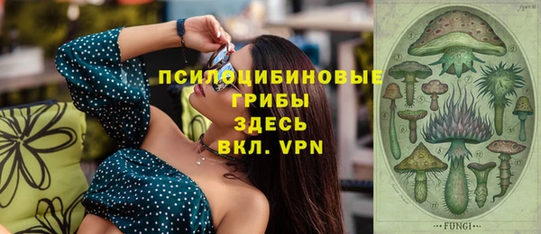 скорость Саяногорск