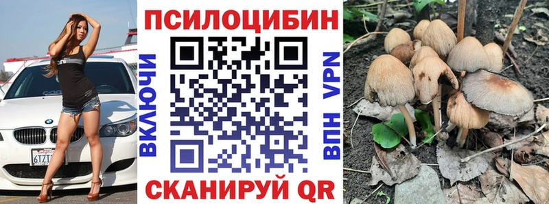 Галлюциногенные грибы Cubensis  наркота  Ртищево 